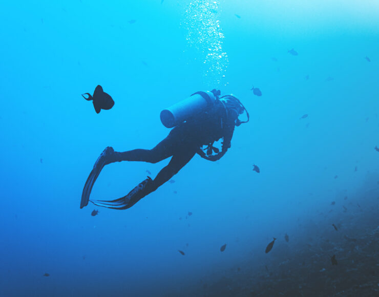 Une personne en plongée sous-marine