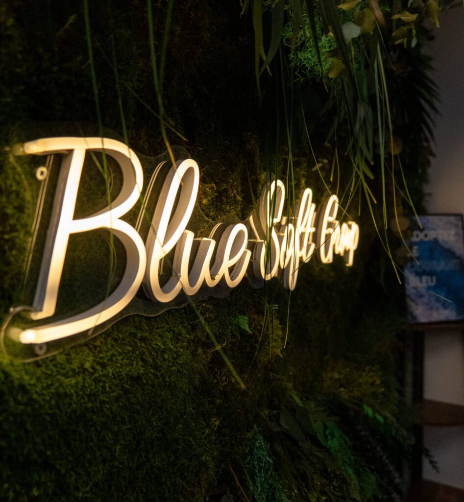 Néon Blue Soft Group - Photo de Blue Soft - Talents Bleus